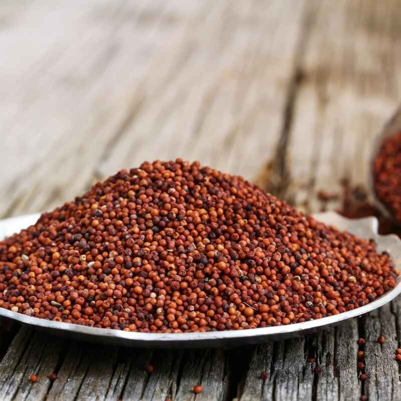 ragi or millet