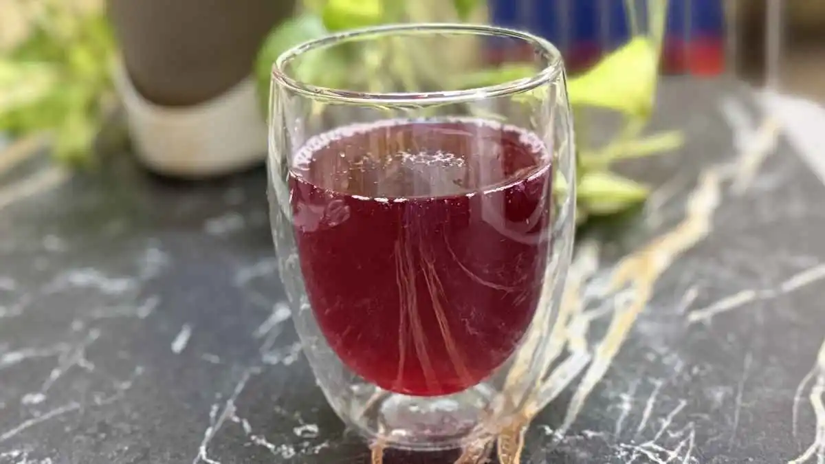 Homemade alkaline water recipe